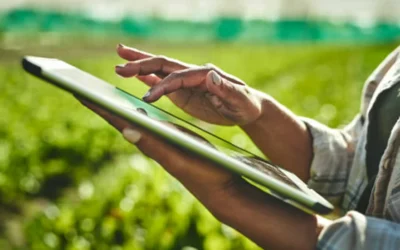 How Technology is Revolutionizing Agriculture: A Look into IoT, AI, and Blockchain